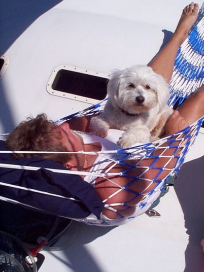 P000133.jpg (58234 bytes)