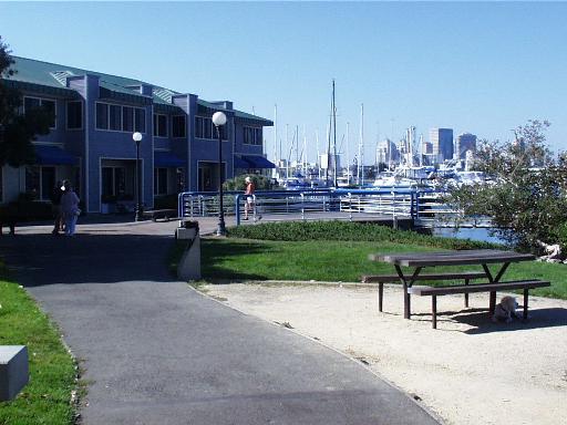 mvyh0008.jpg (38636 bytes)