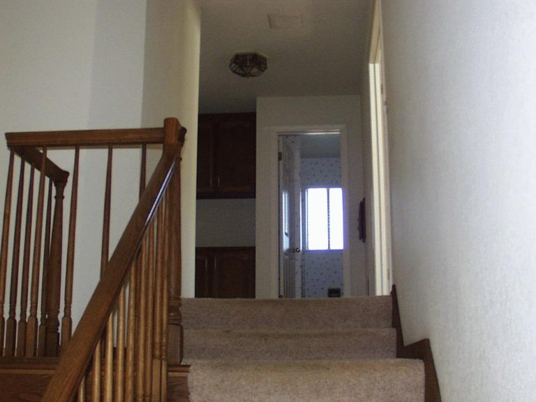 IMAGE005.jpg (45354 bytes)