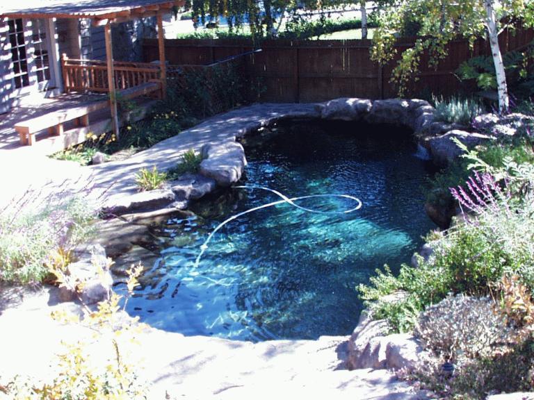 IMAGE015.jpg (105837 bytes)