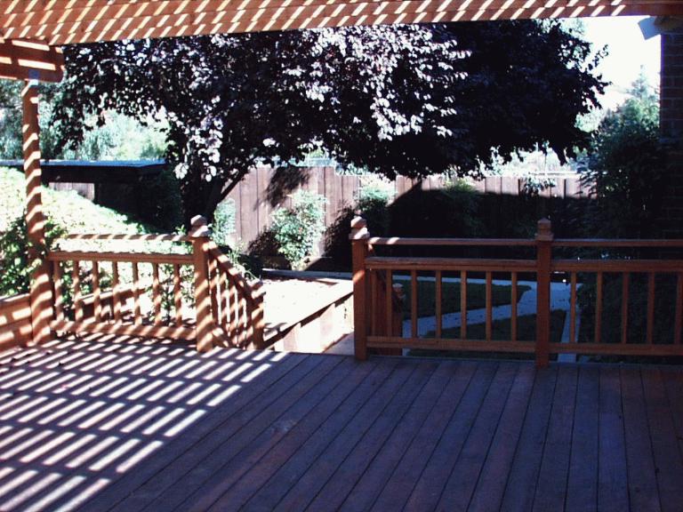 IMAGE021.jpg (100258 bytes)