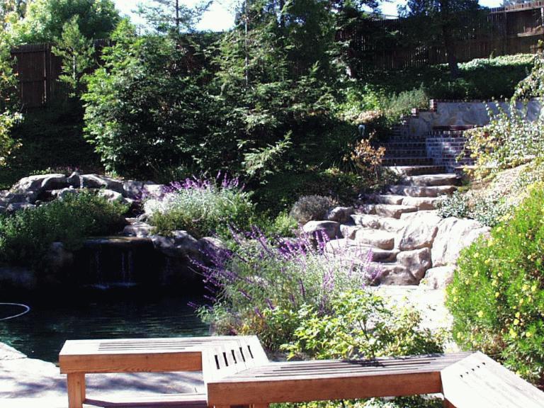 IMAGE022.jpg (121157 bytes)