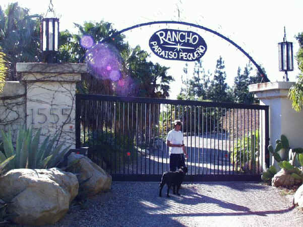 IMAGE018.jpg (93605 bytes)