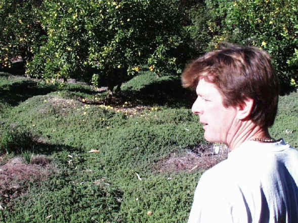 IMAGE021.jpg (126058 bytes)