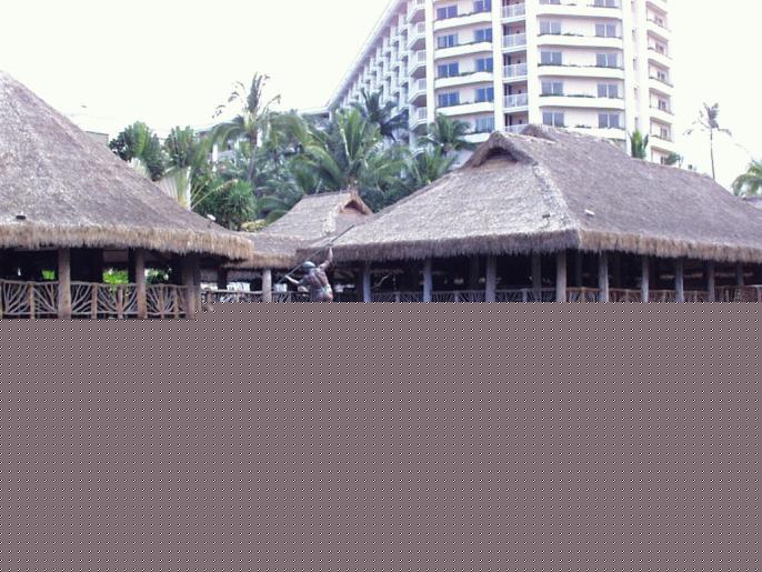 maui0016.jpg (76778 bytes)