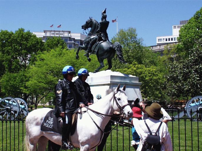 dc0059.jpg (81567 bytes)