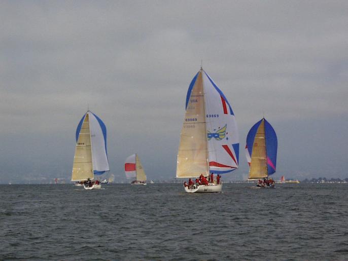 PIC00061.jpg (35016 bytes)