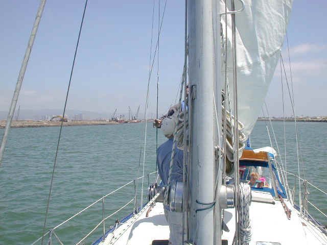 Dscn0063.jpg (62110 bytes)